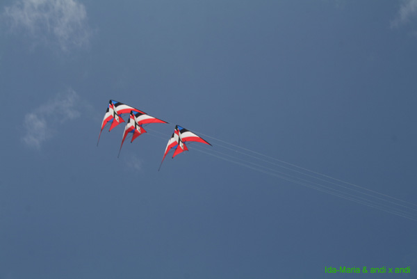 Cervia 09_0079