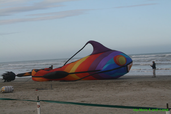 Cervia 09_0116