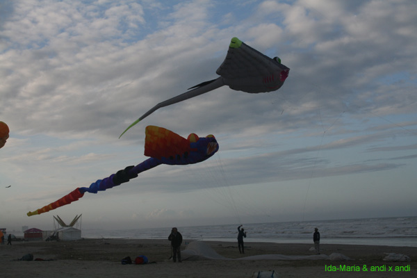 Cervia 09_0128