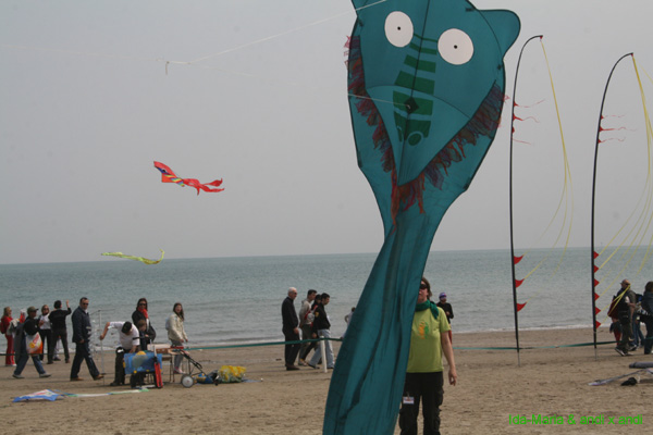 Cervia 09_0302