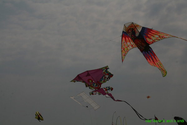 Cervia 09_0345