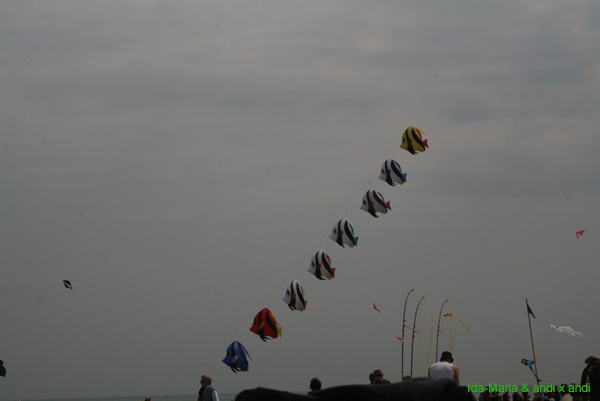 Cervia 09_0352