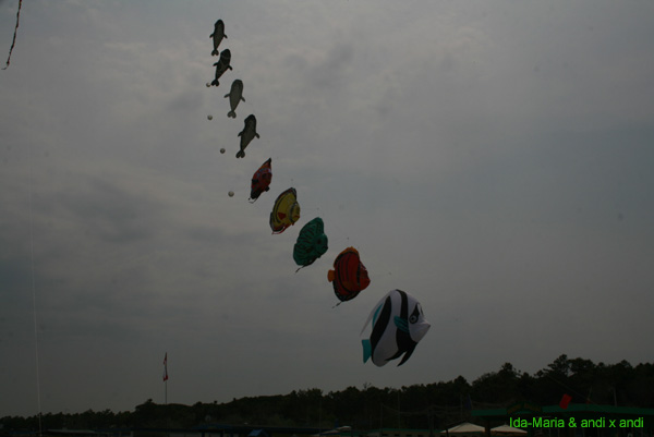 Cervia 09_0395