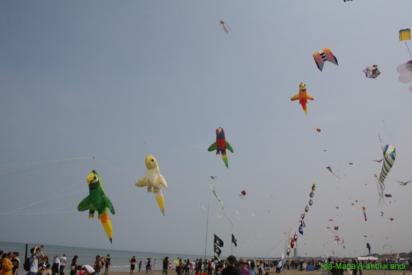 Cervia 09_0477