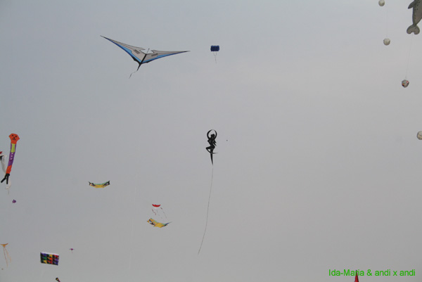 Cervia 09_0484