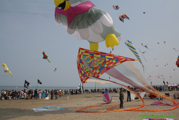 Cervia 09_0490