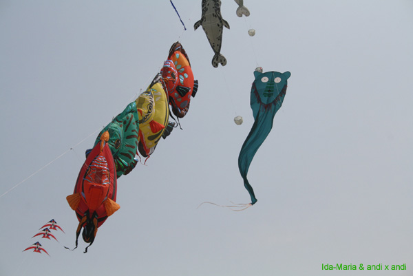 Cervia 09_0491
