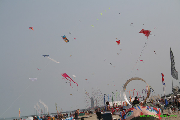 Cervia 09_0508
