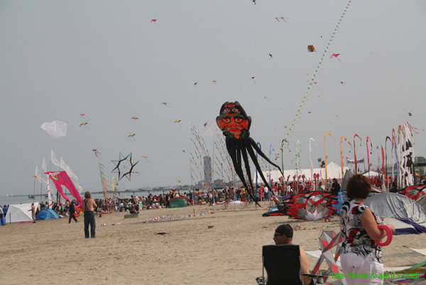 Cervia 09_0516