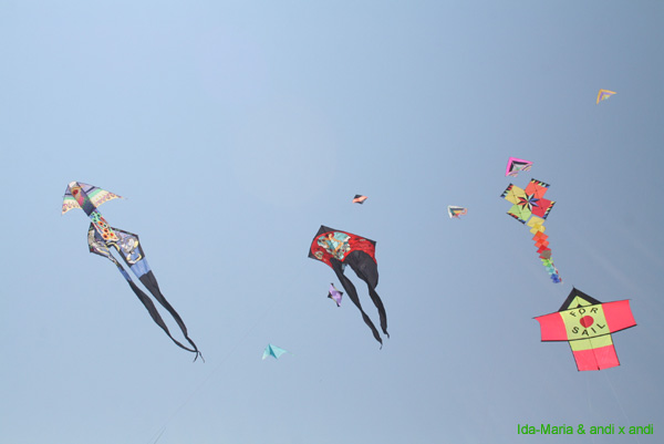 Cervia 09_0608