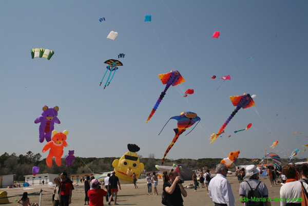 Cervia 09_0611