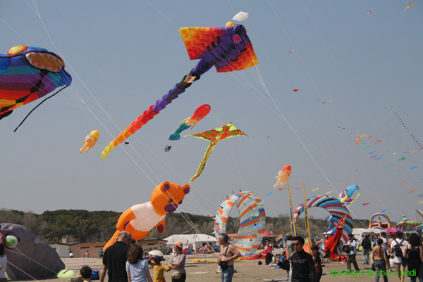 Cervia 09_0615