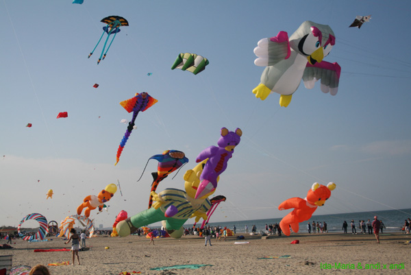 Cervia 09_0679