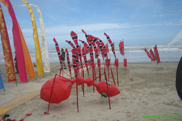 Cervia 09__0908