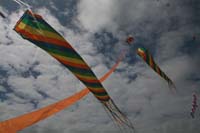 Cervia 09_0031