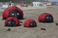 Cervia 09_0041