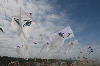 Cervia 09_0092