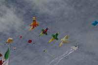 Cervia 09_0114