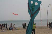 Cervia 09_0302
