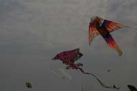 Cervia 09_0345
