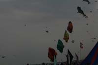 Cervia 09_0371