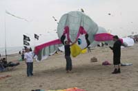 Cervia 09_0383