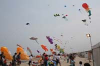 Cervia 09_0433