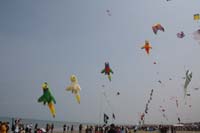 Cervia 09_0477