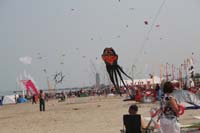 Cervia 09_0516