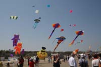 Cervia 09_0611