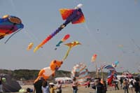 Cervia 09_0615