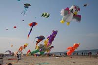 Cervia 09_0679