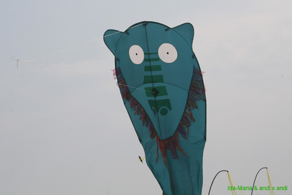 Cervia 09_0303