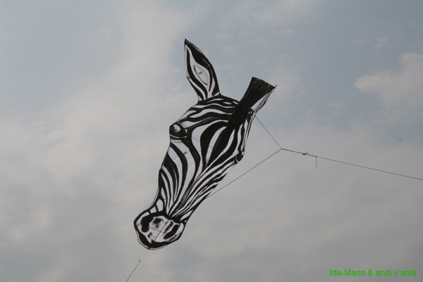 Cervia 09_0361