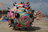 Cervia 09_0064