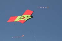 Cervia 09_0602