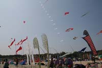 Cervia 10 0265