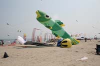 Cervia 10 0285