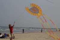 Cervia 10 0445