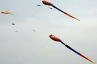 kites_003