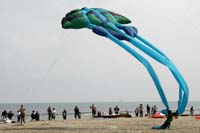 kites_004