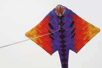 kites_005