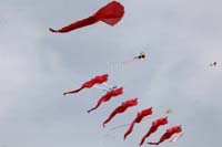 kites_006