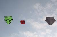 kites_009