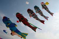 kites_011