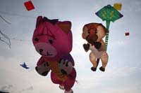kites_013