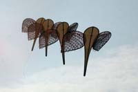 kites_015