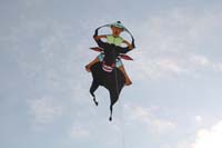 kites_017