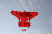 kites_018