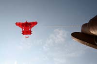 kites_019